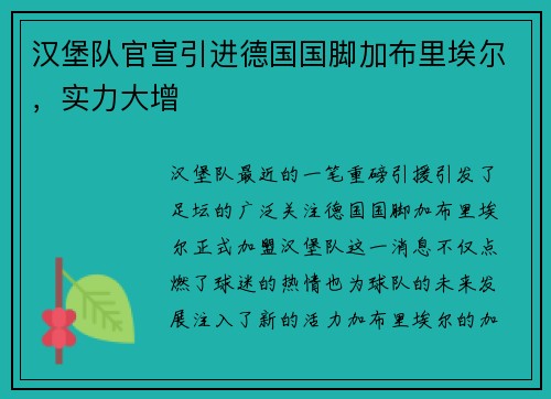汉堡队官宣引进德国国脚加布里埃尔，实力大增